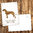 Postkarte Krafttier Hund „Hilfe & Treue“