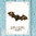 Postkarte Krafttier Fledermaus „Aufmerksamkeit“