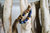 2er Set Armbänder Lapislazuli trifft braunen Jaspis